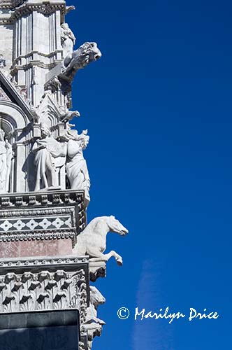 Detail, Duomo (cathedral), Siena, Tuscany, Italy