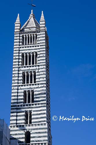 Bell tower, Duomo (cathedral), Siena, Tuscany, Italy