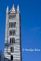 Bell tower, Duomo (cathedral), Siena, Tuscany, Italy