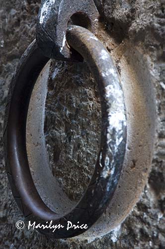 Ring for tying up horses, Siena, Tuscany, Italy