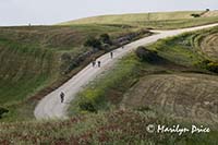 Bicyclists on the road to Pienza, Tuscany, Italy