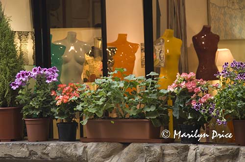 Flowers and store display, Florence, Italy