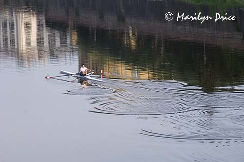 Sculler on the Arno, Florence, Italy