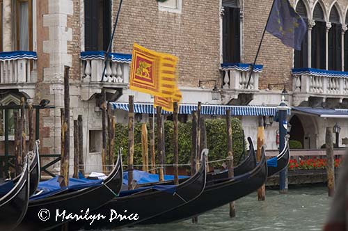 Gondolas and waving flags, Venice, Italy