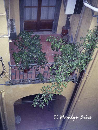 Down an airshaft, Florence, Italy