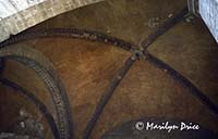 Ceiling detail, San Gimignano, Italy