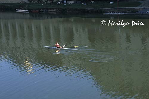 Sculler on River Arno, Florence, Italy