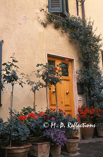 Plants around a doorway, Castellina in Chianti, Italy