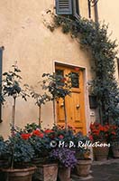 Plants around a doorway, Castellina in Chianti, Italy