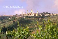 Vineyard and San Gimignano, Italy