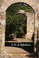 Archway in garden, San Gimignano, Italy