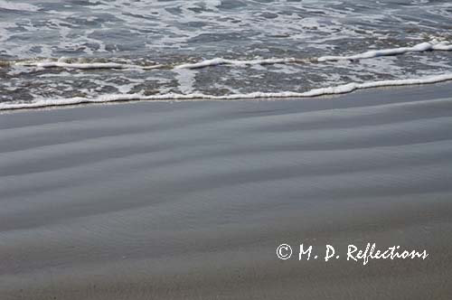 Tidal ripples in the sand