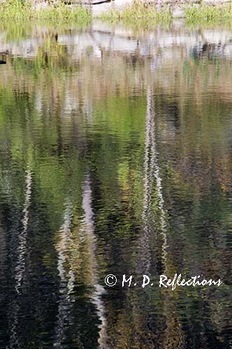Reflections in a pond