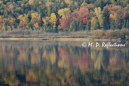 Autumn colors, Nahmakanta Lake, ME