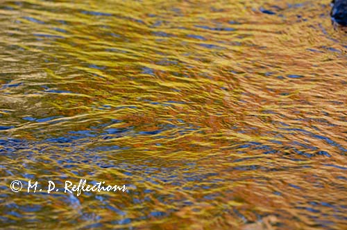 Autumn reflections in Polliwog Stream
