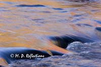 Autumn reflections in Polliwog Stream