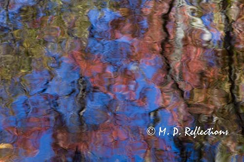 Autumn reflections, Somesville, ME