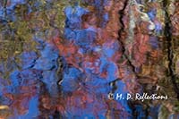 Autumn reflections, Somesville, ME