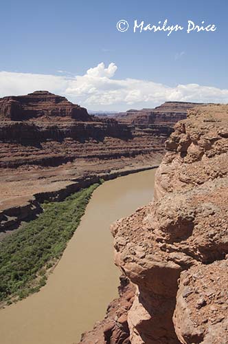 Colorado River at 'Thelma and Louise Point', Shafer Jeep trail, Canyonlands National Park, UT