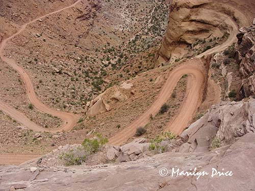 Bicyclists riding down Shafer Jeep Trail, Canyonlands National Park, UT