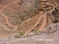 Bicyclists riding down Shafer Jeep Trail, Canyonlands National Park, UT