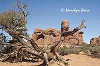 Unidentified arch in Elephant Butte, Arches National Park, UT
