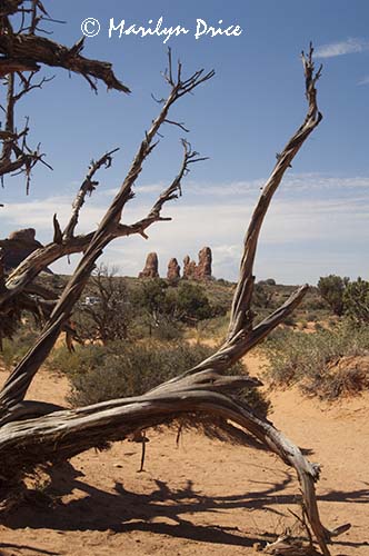 Unidentified formation, Arches National Park, UT