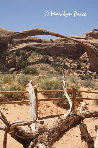 Landscape Arch, Devil's Garden Trail, Arches National Park, UT
