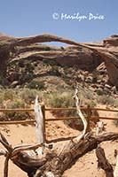 Landscape Arch, Devil's Garden Trail, Arches National Park, UT