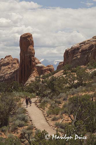Devil's Garden Trail and the Lasal Mountains, Arches National Park, UT