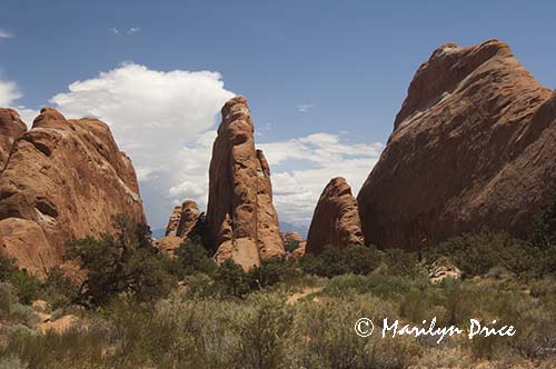 Devil's Garden Trail, Arches National Park, UT