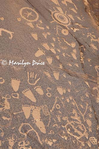 Petroglyphs at Newspaper Rock, Canyonlands National Park, UT