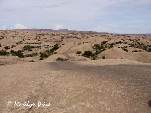 The jeep trail over Fins and Things is delineated by the tire marks, near Moab, UT