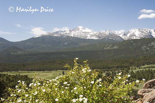 Long's Peak from Many Parks Curve, Rocky Mountain National Park, CO