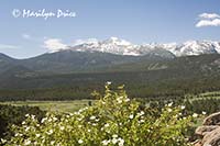 Long's Peak from Many Parks Curve, Rocky Mountain National Park, CO