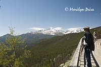 Carl and Long's Peak from Many Parks Curve, Rocky Mountain National Park, CO