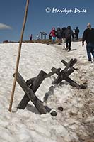 Snow still covers part of the path to Forest Canyon Overlook, Rocky Mountain National Park, CO