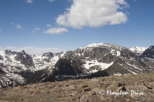 Terra Tomah Mountain from Forest Canyon Overlook, Rocky Mountain National Park, CO