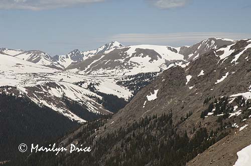 View from Forest Canyon Overlook, Rocky Mountain National Park, CO