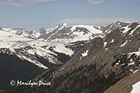 View from Forest Canyon Overlook, Rocky Mountain National Park, CO