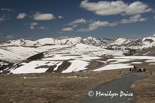 Tundra Communities Trail and our road, Rocky Mountain National Park, CO