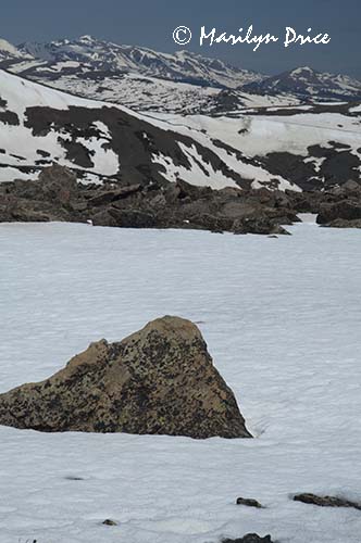 Ice field and rocks and mountains, Tundra Communities Trail, Rocky Mountain National Park, CO