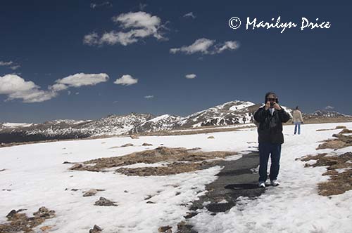Carl takes a picture of Marilyn taking a picture of Carl on the Tundra Communities Trail, Rocky Mountain National Park, CO