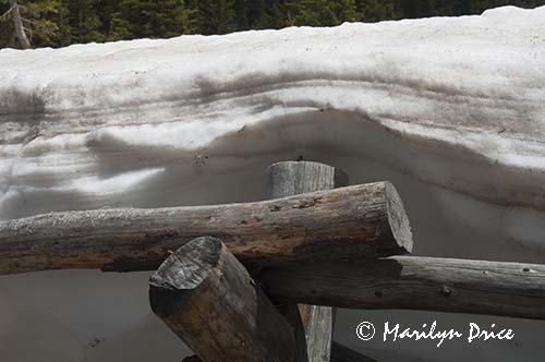 Patterns in the cut snow bank, Continental Divide stop, Rocky Mountain National Park, CO