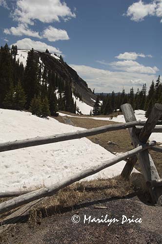 Fence and valley, Continental Divide stop, Rocky Mountain National Park, CO
