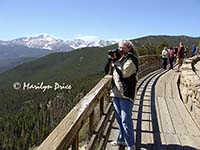 Marilyn and Long's Peak from Many Parks Curve, Rocky Mountain National Park, CO