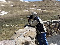 Marilyn shoots something from Forest Canyon Overlook, Rocky Mountain National Park, CO