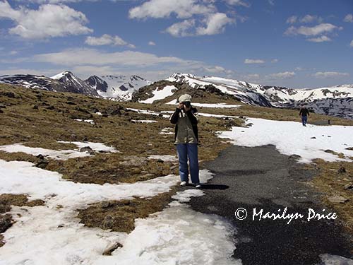 Carl took a picture of Marilyn taking his picture, Tundra Communities Trail, Rocky Mountain National Park, CO