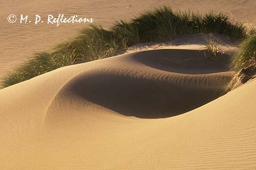 Sand dunes at the ocean, Cape Sebastian, OR