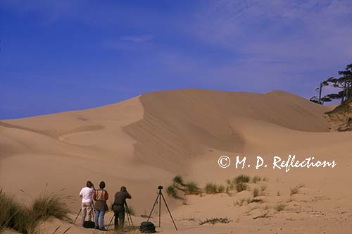 Photographers and sand dunes, South Jetty and Dunes, near Florence, OR